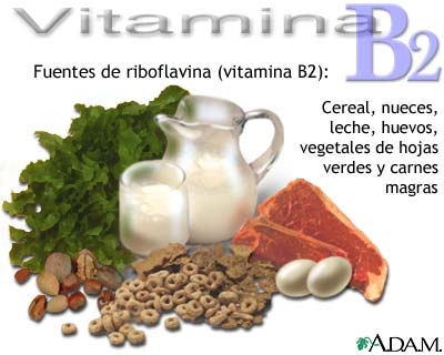 Continutul alimentelor in vitamina b2, in gama